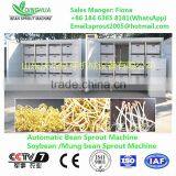 New Brand Bean Sprouts Machine