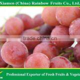 Fresh fruit of Yunnan Red Globe Grape with good taste grapes peru Seedless grapes