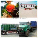 Soy Lecithin for Leather Fatting Agent Plant