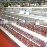 Hot Galvanizing Poultry Cage for Automatic Chicken Feed Line