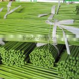 Plastic Covered Tonkin Bamboo Flower Sticks