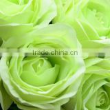 2016 Natural Fresh cut rose flowers fresh cut flowers with highly competitive price