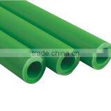 Professional Supplier of Green Color PPR Pipe for Bengal