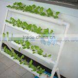 Single Side Hydroponic Shelf Vegetable Growing Used in Home thumbnail-1