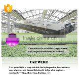 China 5W Chip 1200w Led Grow Light thumbnail-6