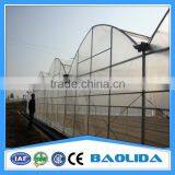 BLD Large Multi-span Plastic Film Greenhouse Commercial Use thumbnail-1