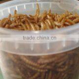 100% Natural Microwave Dried Mealworms of Bulk Fish Food thumbnail-1