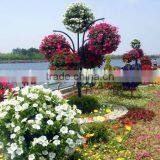 Hangzhou SOL Plastic Hot Sale Garden Decoration Hydroponic Growing Systems Hydroponic Pot thumbnail-2
