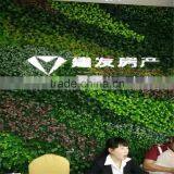 2017 China Manufacturer Wholesale China Pvc Wall Plant Skirting and Holder thumbnail-5