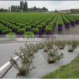 Ecological Can be Cut the Weed Mat for Agricultural Ground Cover thumbnail-4
