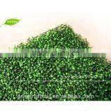 BOX027-2 GNW Boxwood Artificial Carpet Grass as Decorative Garden Fence for Wholesale Garden Supplies thumbnail-1