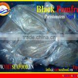 W/R FROZEN BLACK POMFRET thumbnail-1