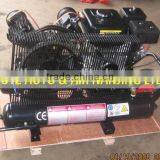 Petro Air Compressor - BVI30G55W24F thumbnail-1