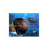 Mini Watch Camera thumbnail-1