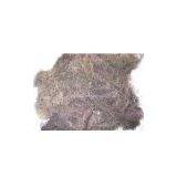 Dried Gracilaria Seaweed thumbnail-1