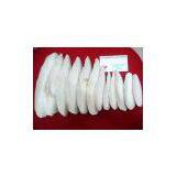 Cuttlefish Bone thumbnail-1