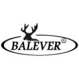 balever(HK) Technology Co., Ltd