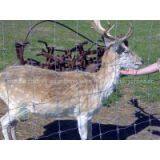 HOT-SALE Field Fence