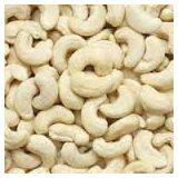 Cashew Nut Best Price