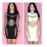 SHEER BODYCON DRESS