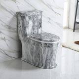 2018 Ceramic Luxury Fantasit New Color Ceramic Bathroom Floor Mounted One Piece Toilet Bowl