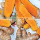 Vietnam Turmeric Powder/Best Whole Turmeric thumbnail-2