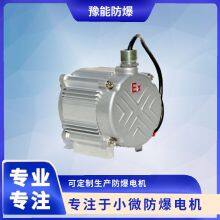 BS01 DC Brushless Permanent Magnet Motor for Oil and Gas Recovery thumbnail-3