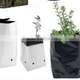 New Bicolor Plastic Grow Bag for USA thumbnail-1