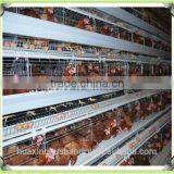 Broiler Battery Cages With Automatic System thumbnail-3