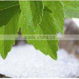 Sugar Substitute thumbnail-1