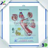 3d Anatomical Chart, 3d Anatomical Chart Poster