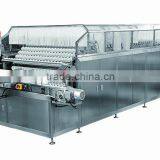 Automatic Bottle Rinsing Machine/ Turning Type Bottle Washing Machine