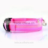 Personalized Lighted Up Webbing Small Dog Collar Glowing in the Dark