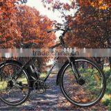 Electric Electric Motorcycle With Pedals,automatic Gear Electric Motorcycle thumbnail-1