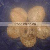 Cocounts Organic Fresh thumbnail-1