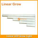 4FT 95W LED Grow Lighting thumbnail-4
