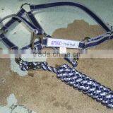 pp webing horse halter and lead ropes