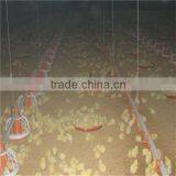 Environmental Control Poultry House Automatic Farm Machinery Equipment Broiler Feeding System For Breeding Chickens thumbnail-4