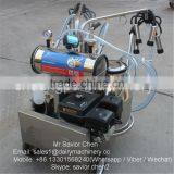 Gasoline Engine Cow Milking Machines For Cows For Sale thumbnail-1