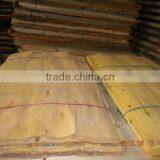 High quality Eucalyptus Core Veneer from Vietnam