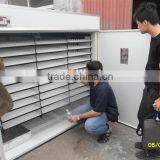 Vlais 3520 Fully Automatic Cheap and Good Eggs Incubator for High Hatching Rate