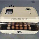 New Condition Automatic Egg Incubator High Quality