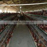 The 3 Layer/4layers/5layer Chicken Cage thumbnail-3