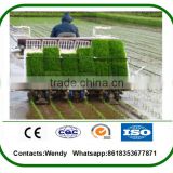 most popular agricultural tool 6 row/8 row rice transplanter price