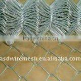 Chain Link Fence(Anping Manufacture)