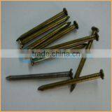 Manufacture High Quality Low Price Cast Iron Nails thumbnail-1