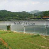pe Covering Film Garden Greenhouse Plastic Film for Flower thumbnail-1