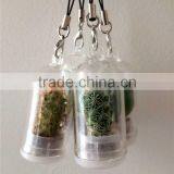 Creative Mini Plant Keychain, Glass Potted Meaty Cactus Plant Design Personality Decorative Keychain Micro Mini Gift Keychain thumbnail-1