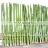 Hotel Lobby Decoration Bamboo Plant Stand Bamboo Poles Cheap Artificial Artificial Bamboo thumbnail-3