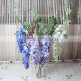 CHY012818 Wisteria Blossom Flower thumbnail-3